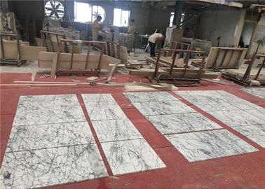 Chine A annoncé les tuiles de marbre blanches en pierre naturelles de biseau de plancher de taille de 60x60cm  fournisseur