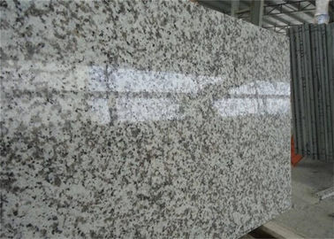 Chine Grandes partie supérieure du comptoir préfinies de granit de grande fleur avec l'aspect à extrémité élevé fournisseur
