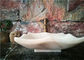 Évier de marbre polygonal de salle de bains, éviers en pierre naturels de navire pour la salle de bains fournisseur