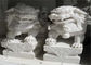 Sculpture blanche en lion de marbre de jade, couleur adaptée aux besoins du client par sculptures animales en pierre fournisseur